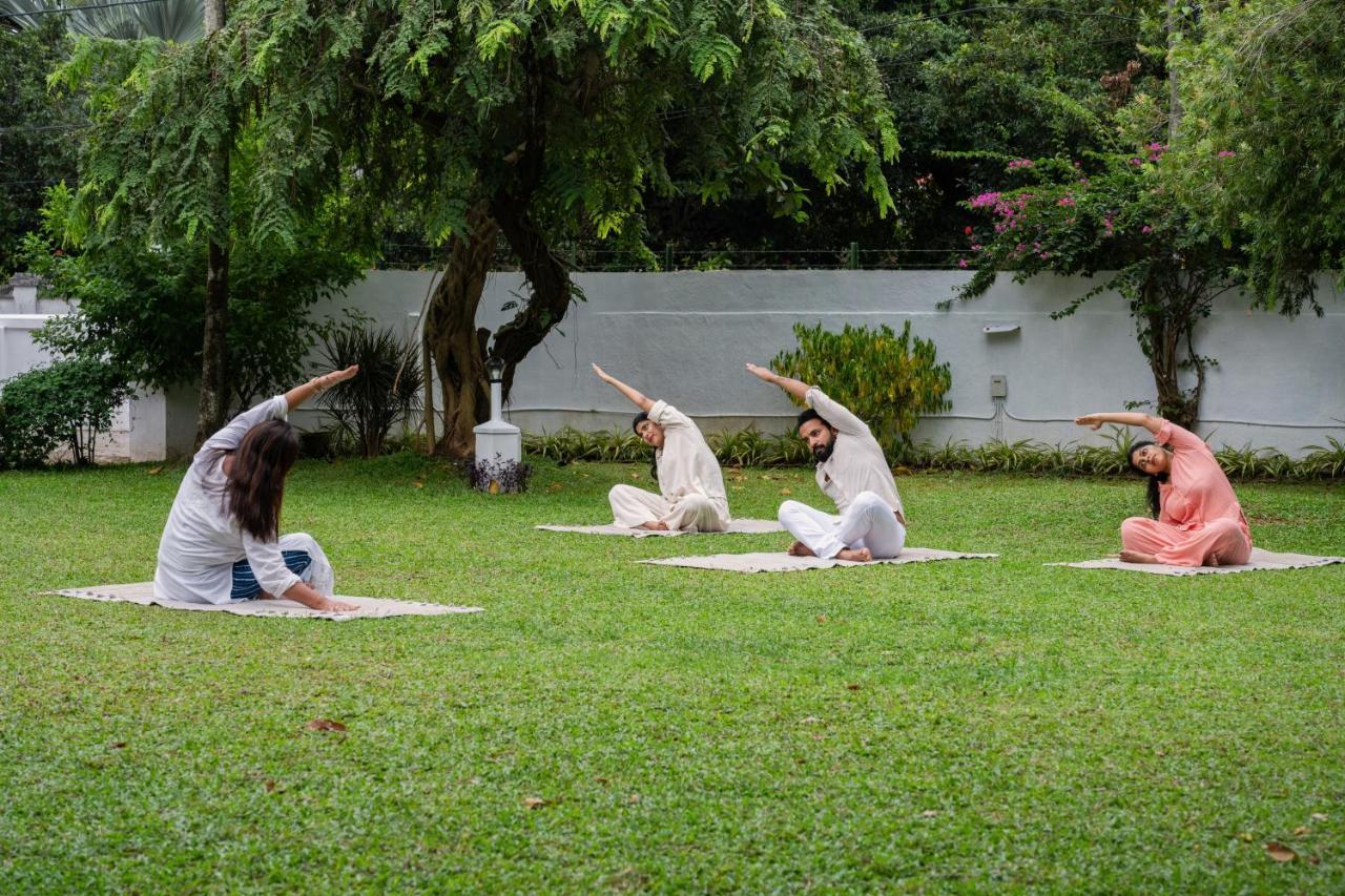 Hotel The Sacred Lotus Ayurveda Wellness Retreat Kochi Exteriér fotografie